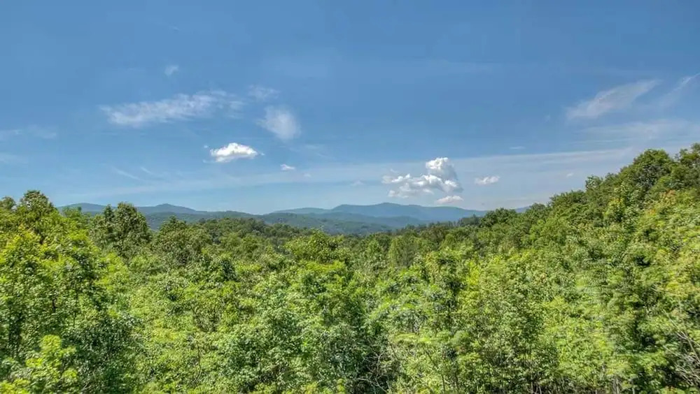 Tondelia by Escape to Blue Ridge