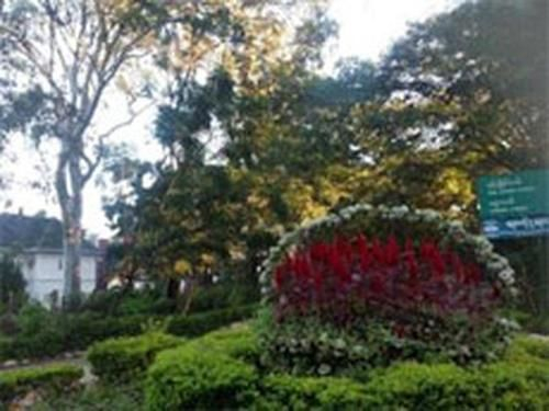 Orchid Nan Myaning Hotel