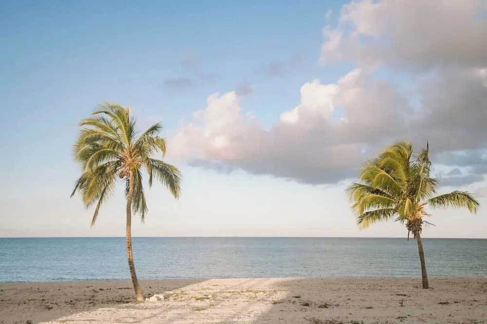 Cape Eleuthera Resort & Marina