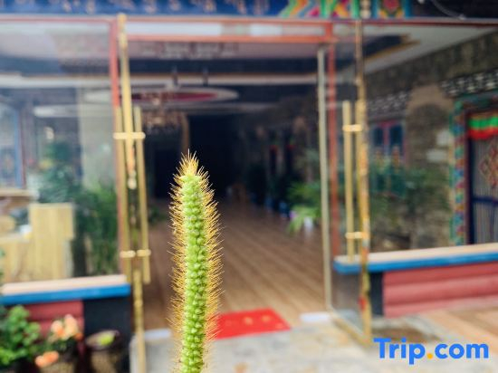 Guilan Xiaolu Hostel