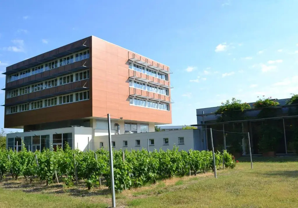 Hôtel De Guyenne 2*