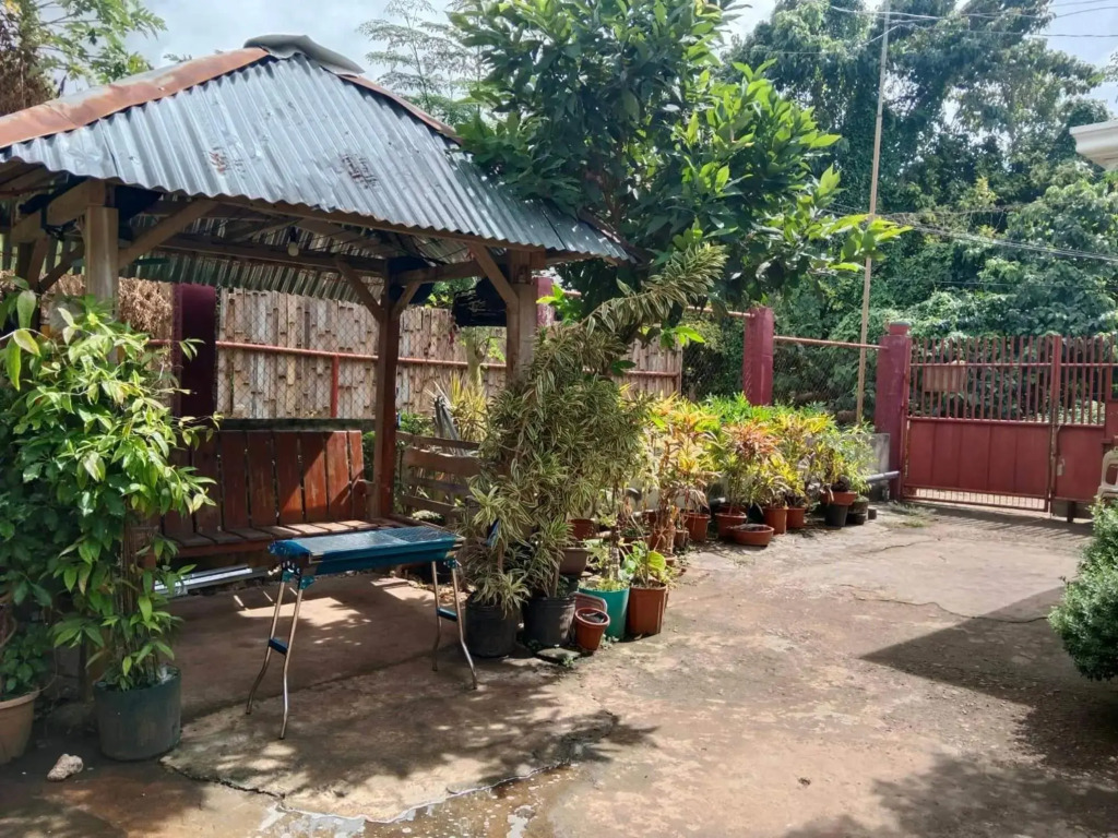 Peace Lily Studio Apartments Panglao