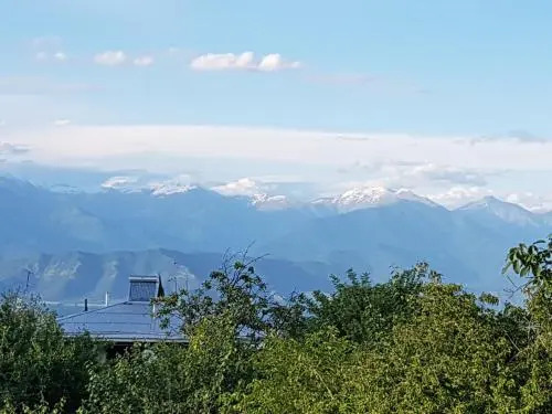 Rustaveli Guesthouse
