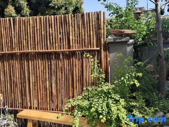 Fogang Tangtang Chuntan Tangyuan Homestay