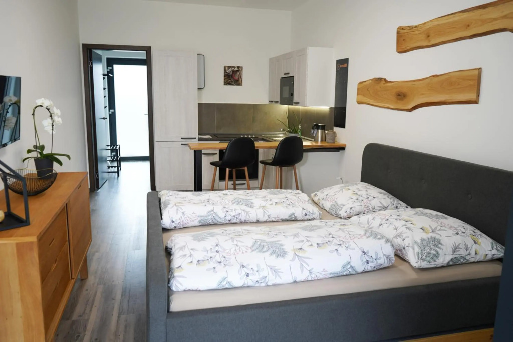 Hofmann Apartment