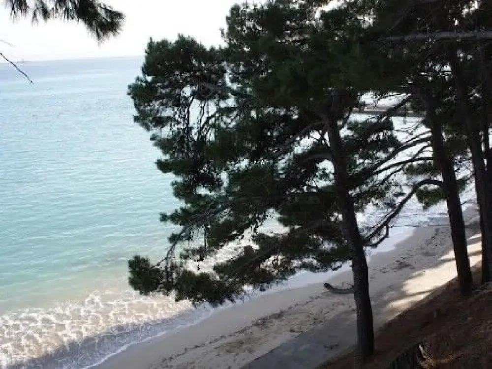 Apartments Jaksa