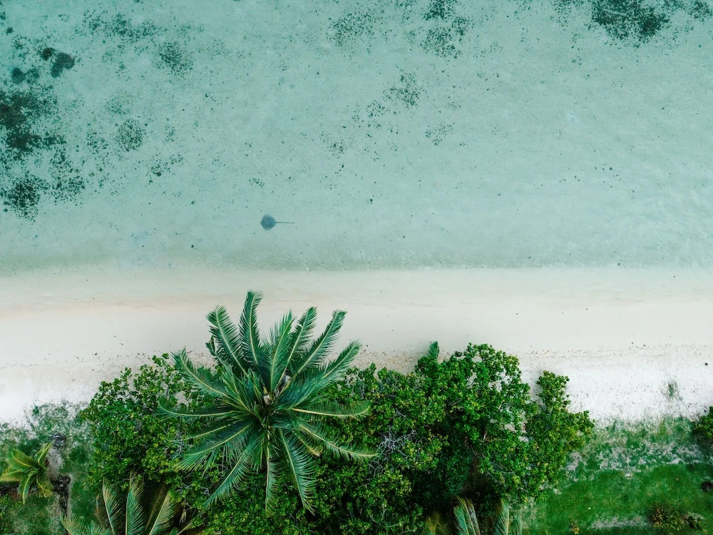 Niu Beach Hôtel Moorea