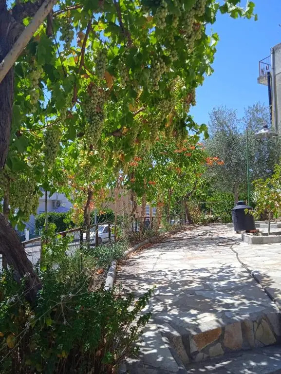 Casa Os Maias - Jardim, terraço e espaço para 10 pessoas