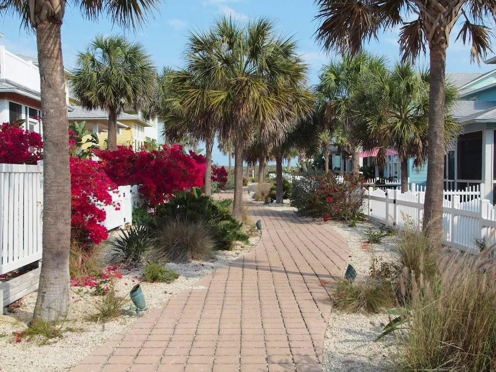 Cajun Sunset VW98