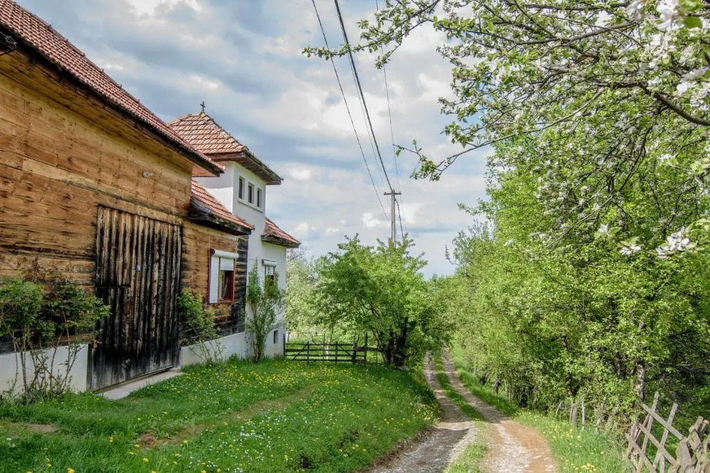 Casa Bunicii - Bran Sohodol