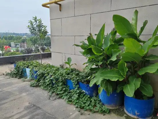 Ruiyu Guesthouse (Luoyang Longmen High-speed Railway Station)
