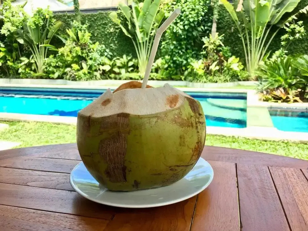 Villa Coconut Spring Canggu