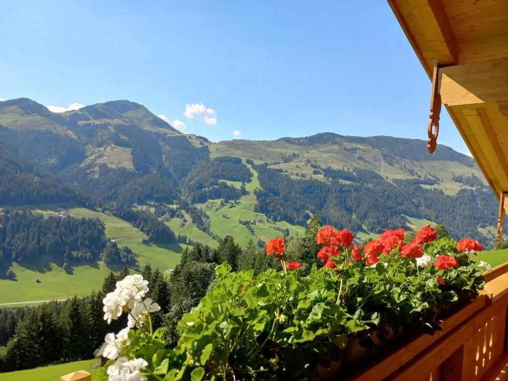 Appartement Bergblick