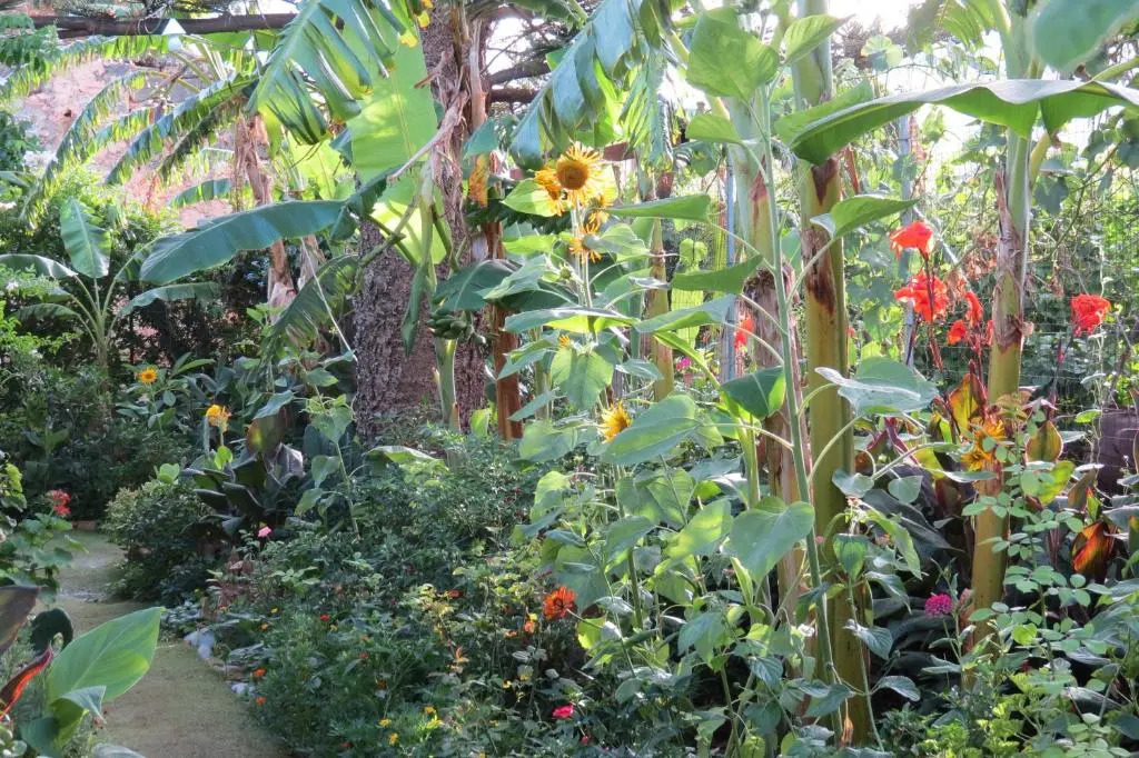 Il Roseto di Betty Appartamento in villa S1