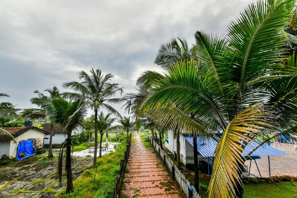 OYO 17110 Joy Guest House