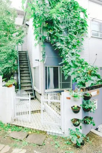 Tranquil Studio with Loft space Apts