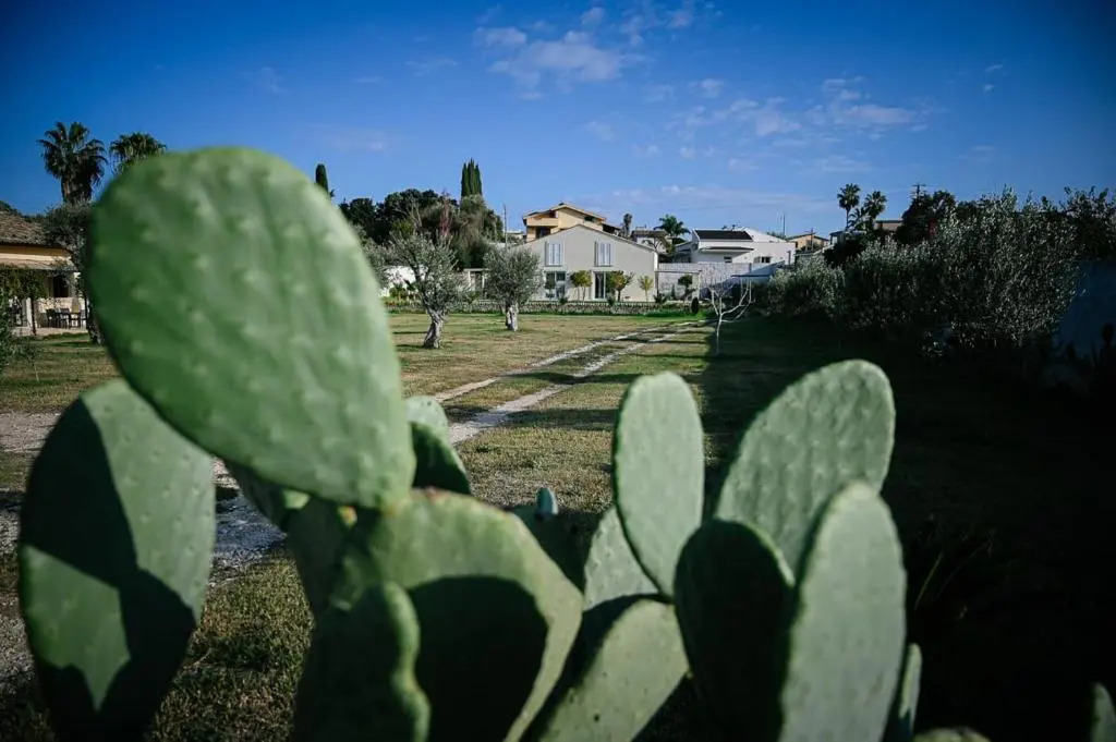 La Bouganville