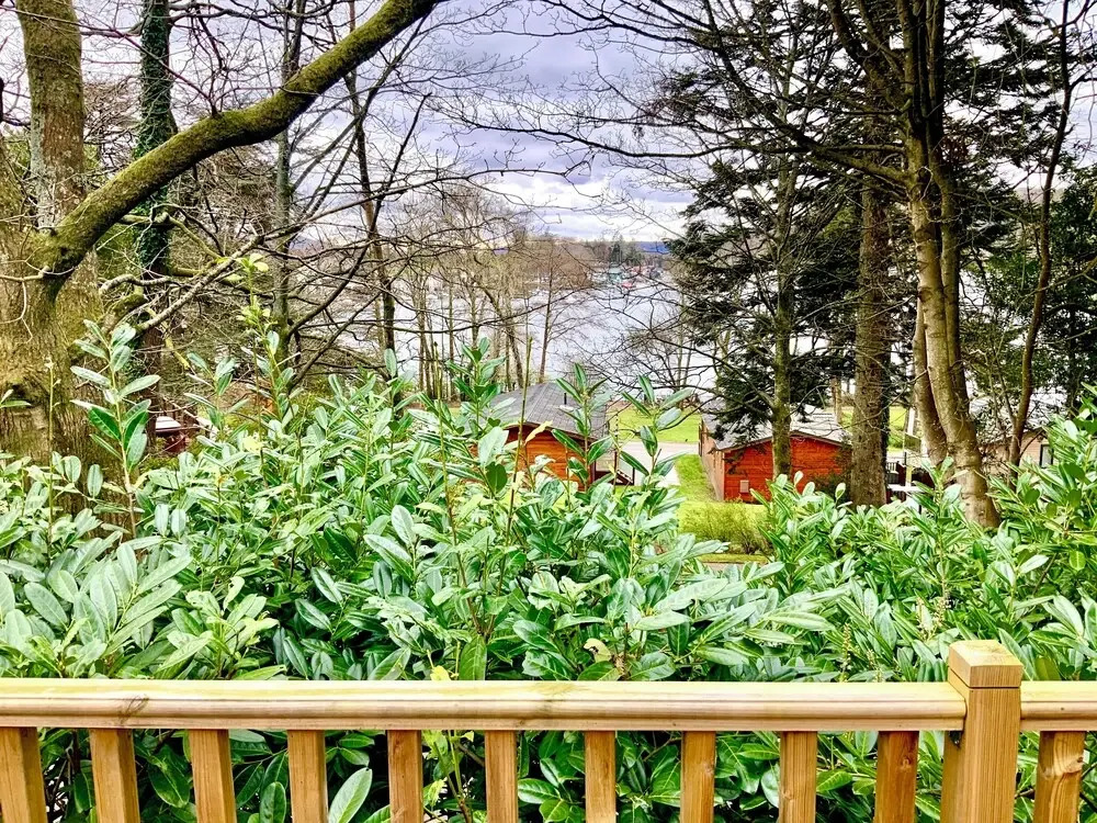 Tree House, Partial Lake Views Pet Friendly