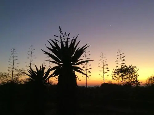 Klein Paradys Lodge - Polokwane