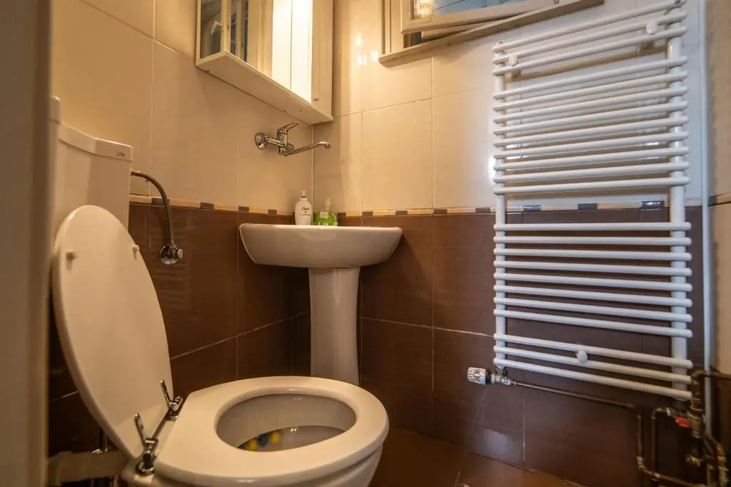 City House Timisoara