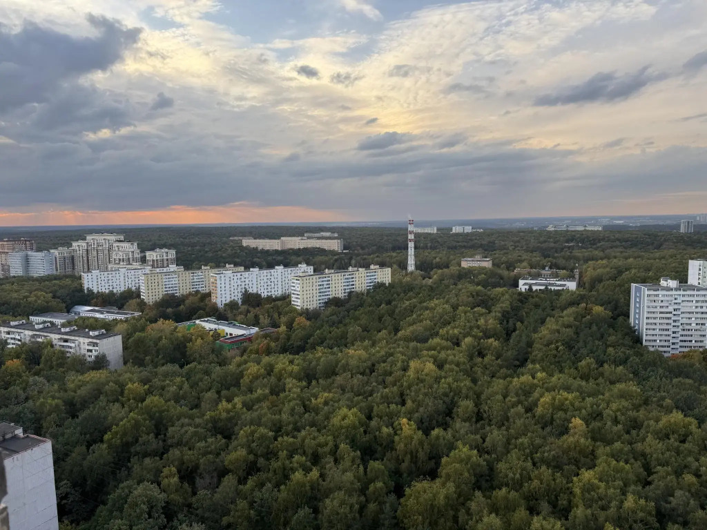 Квартира с панорамным видом на лес 