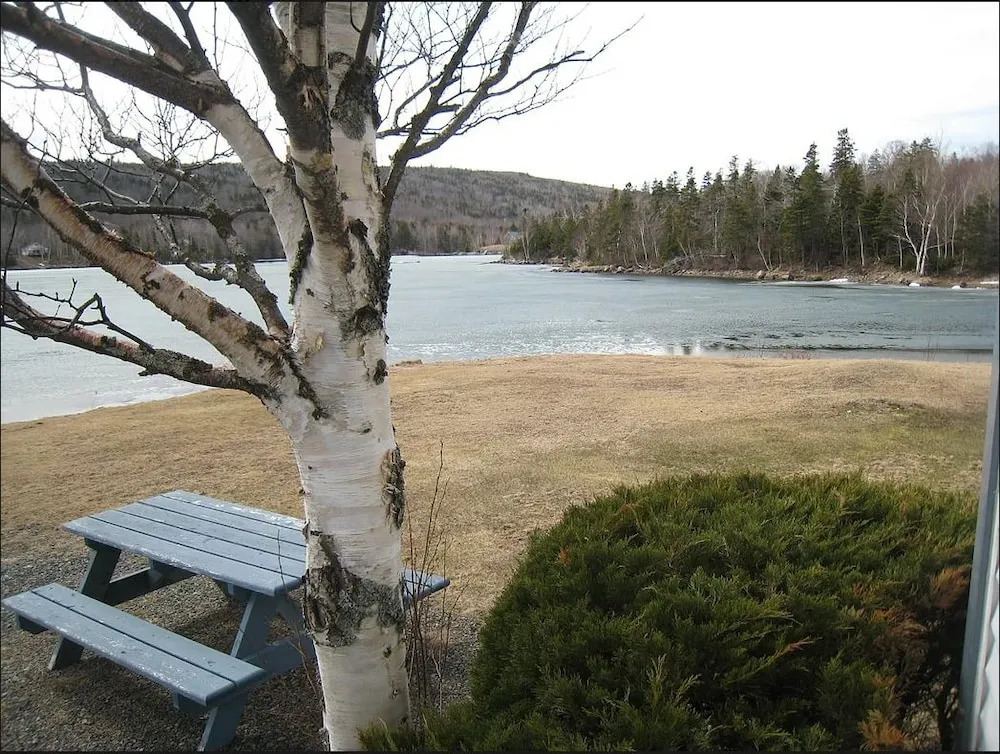 The Cove Cabins