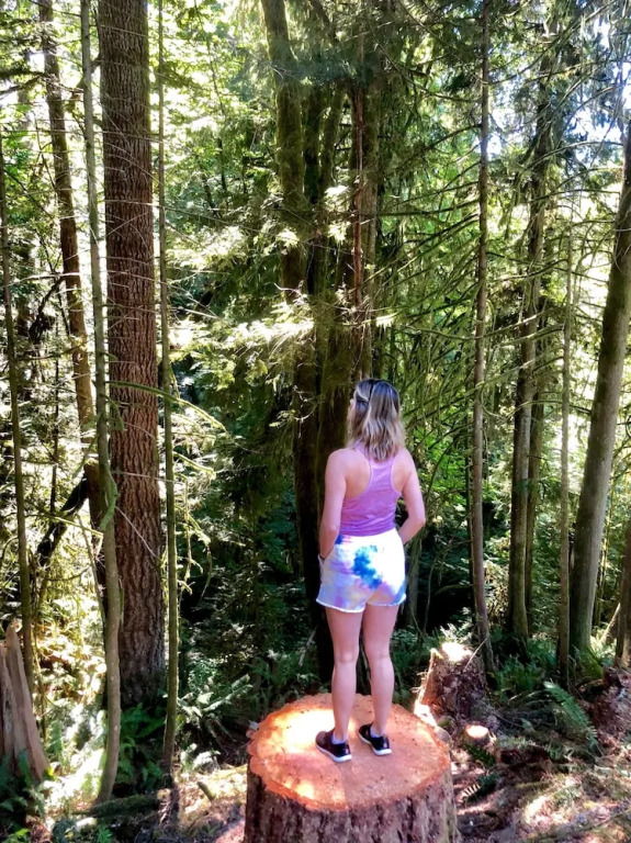 Davis Brook Retreat