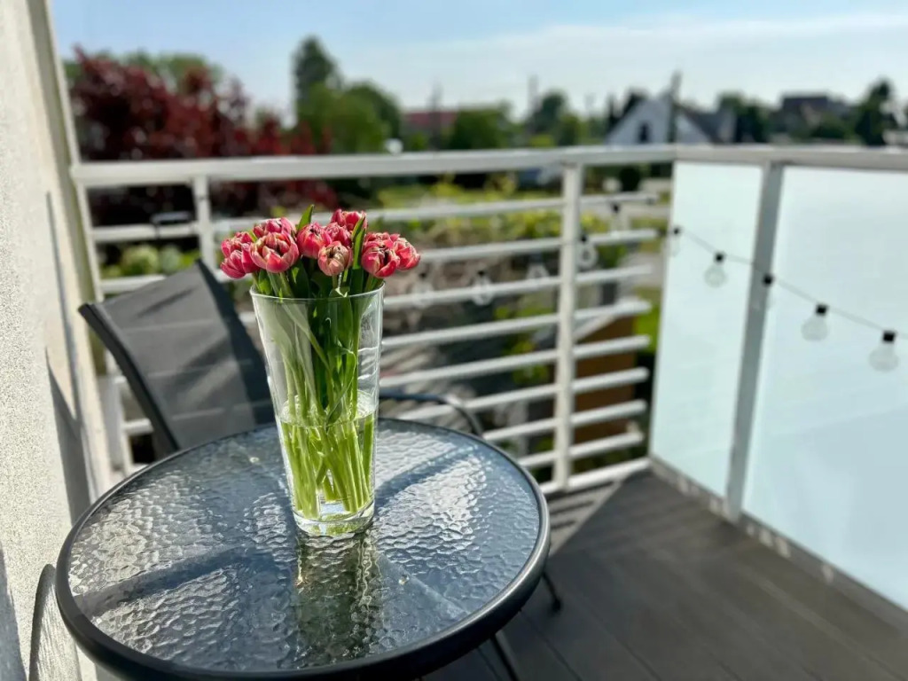 APARTAMENTY MIERZEJA - PRZY MARINIE, 100m od Zalewu Wiślanego, Kąty Rybackie, Bezpłatny Meleks