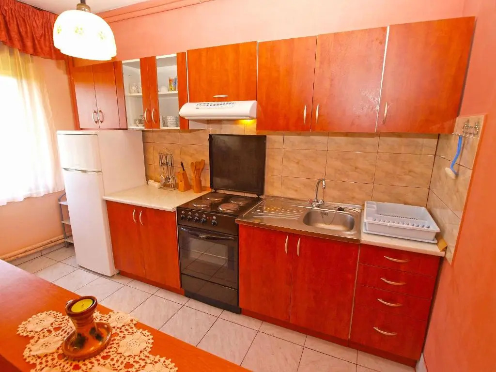Apartment Branko 1142