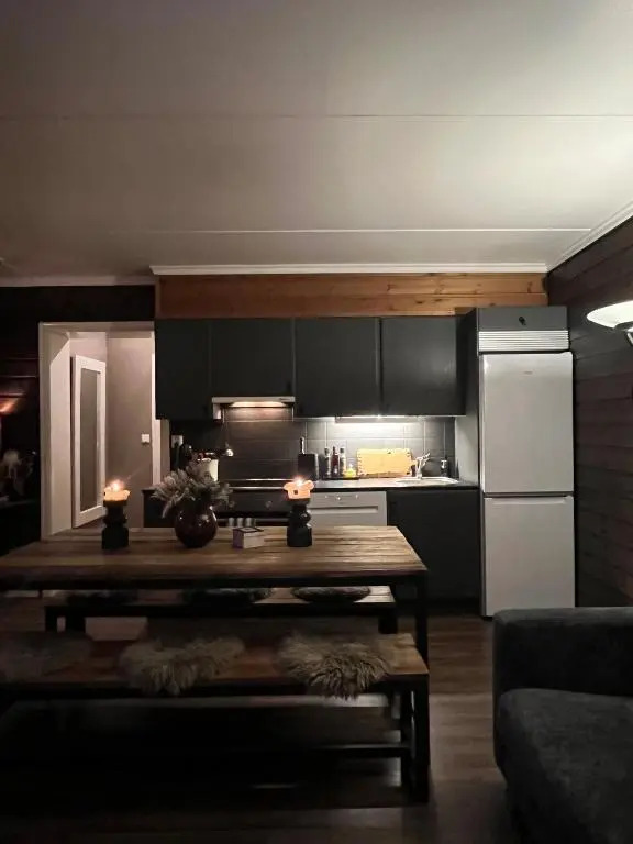 Nice apartment with Sauna and ski in out Trysil