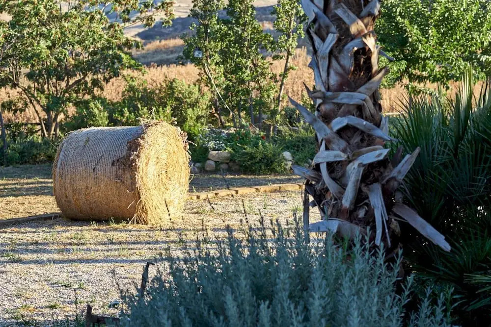 Agriturismo Conte Ruggero