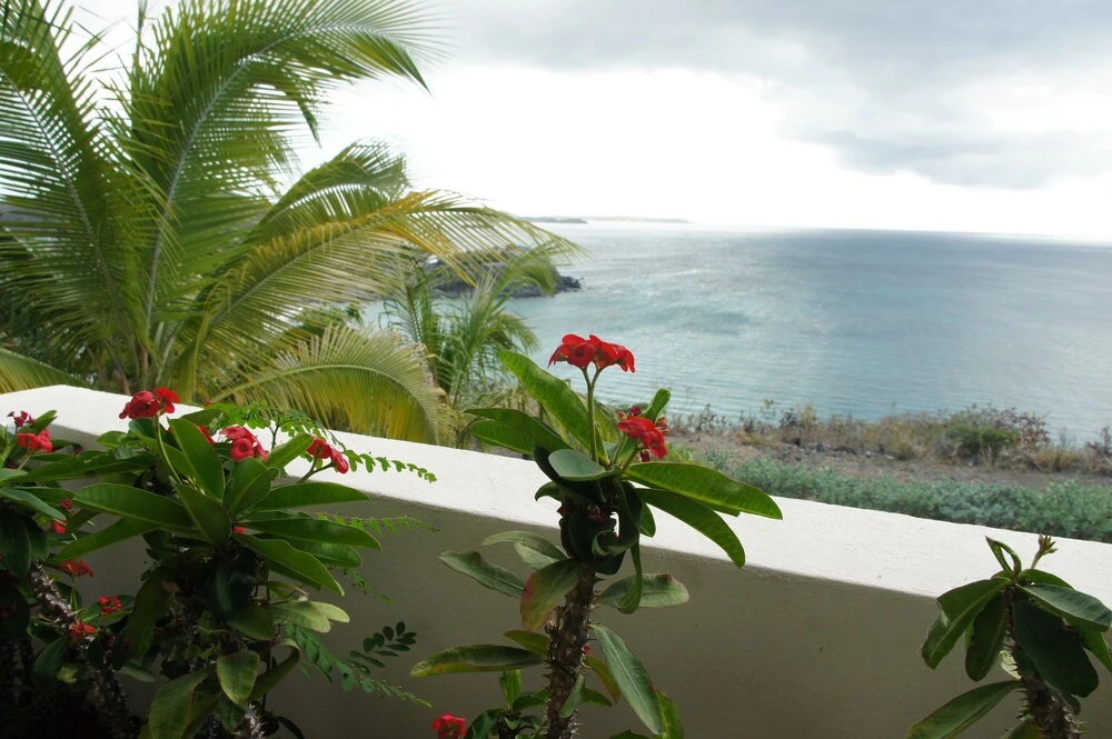 French Exotic Villa