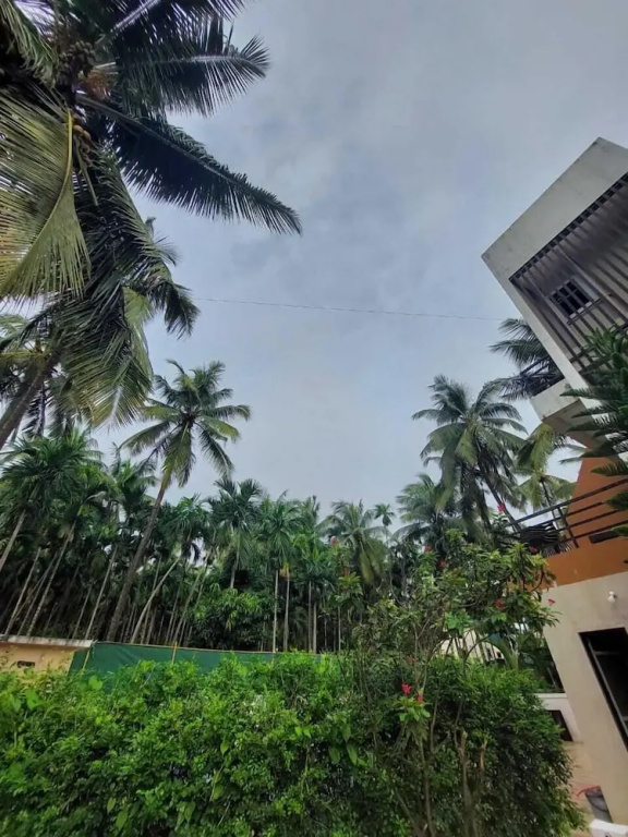 Royal Paradise Hotel