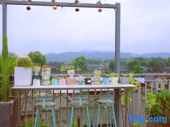 Yueqi·Wutongyu B&B