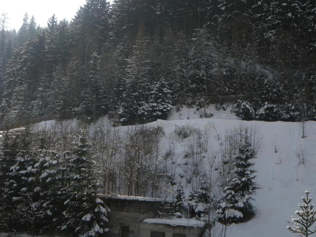 Appartement Schlosser