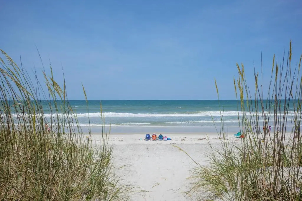 Beach Bliss