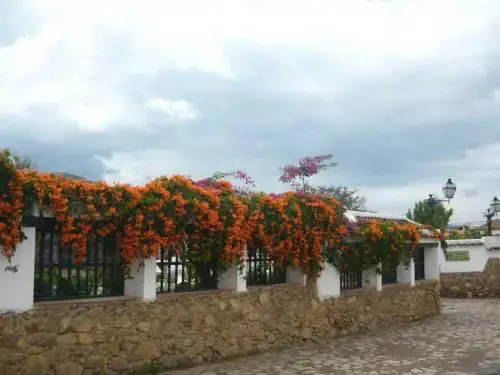 Hotel El Edén