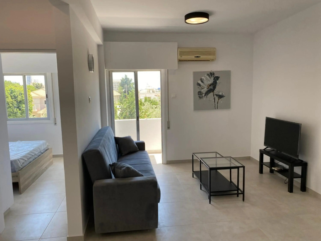 Renovated modern 1-bedroom apartment with view