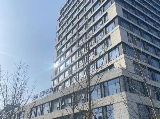 Mehood Lestie, Xixian New District Fengxi New Town Management Committee