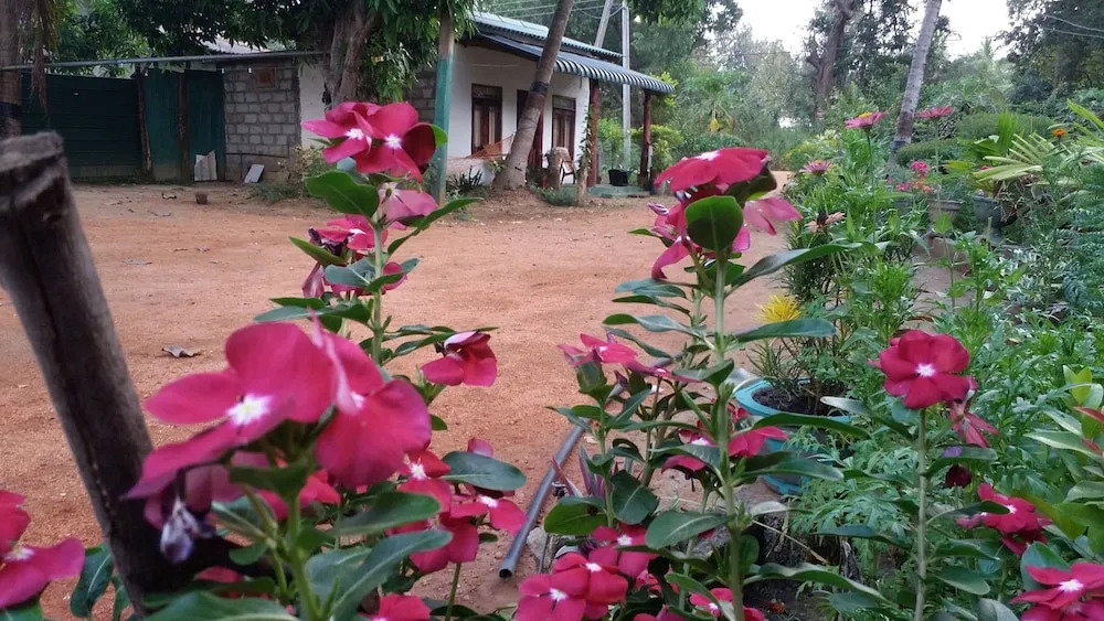 Sigiriya Pikaso Homestay