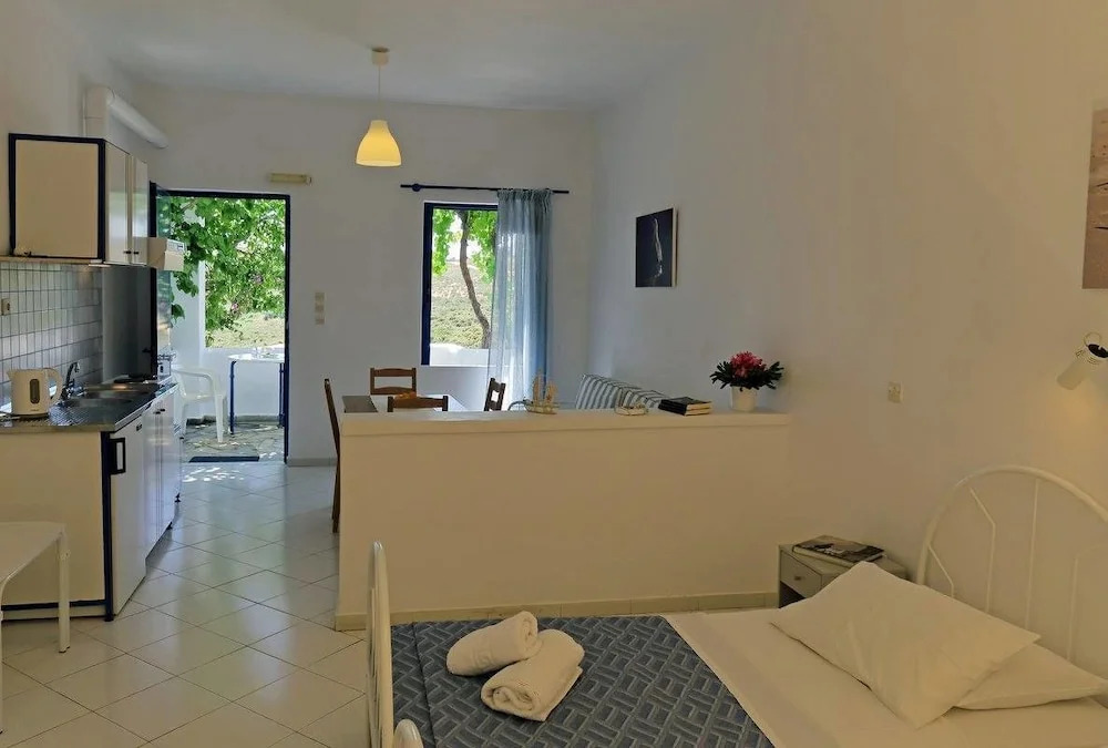 Spanos Apartments - Andros