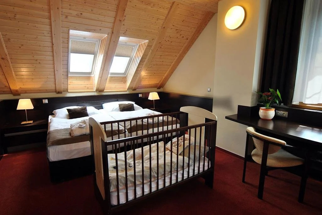 Wellness Hotel Pod Kycmolem