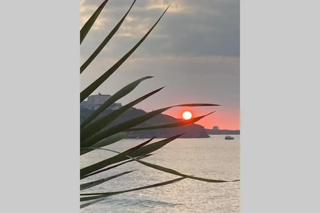 Beautiful 3 bedroom apartment by the Sea