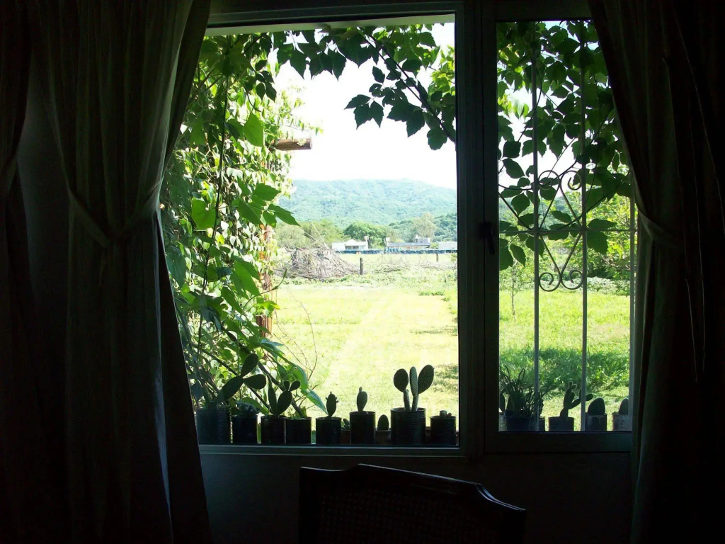 Finca La Vertiente