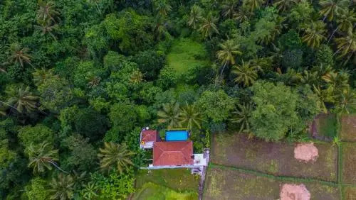 The Loyik Villa Ubud jungle View
