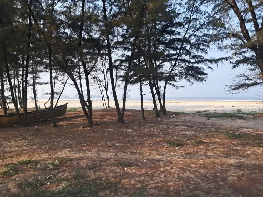 Ocean Mist Beach Homestay
