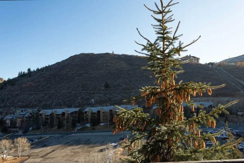 Trail's End Lodge at Deer Valley Resort - One Bedroom Residence with Spa #305 1 Condo