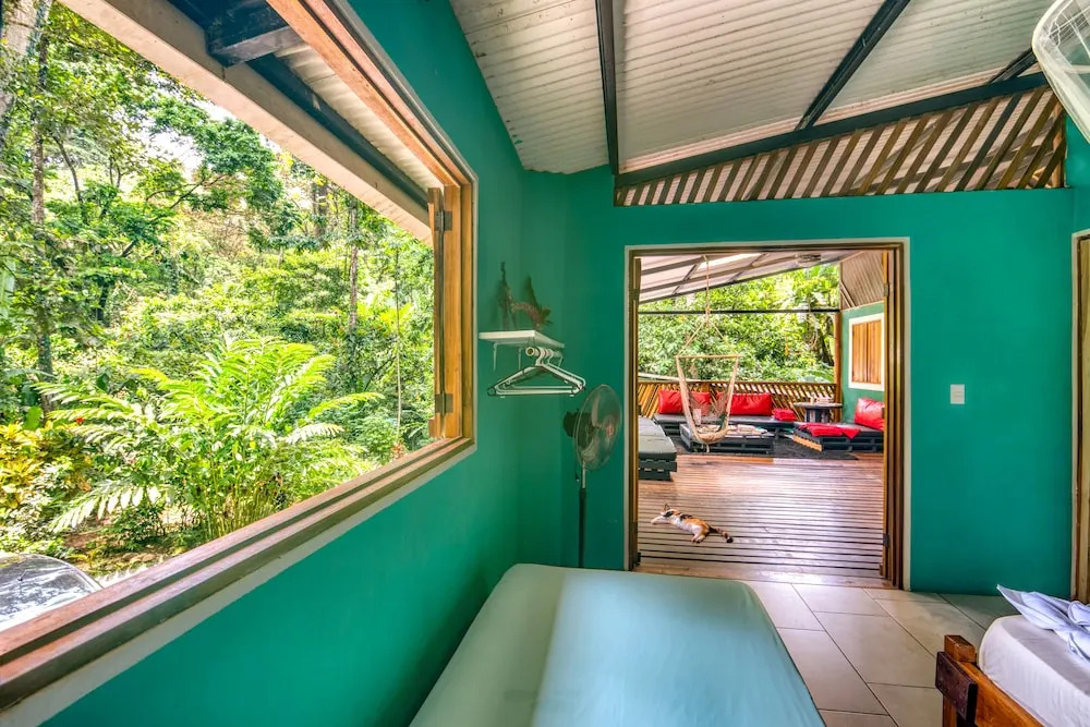 Hotel Boutique The Green Jungle House