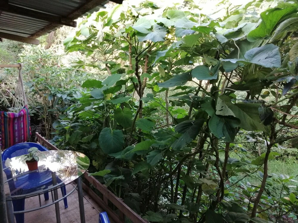 Vista Al Golffo B&B