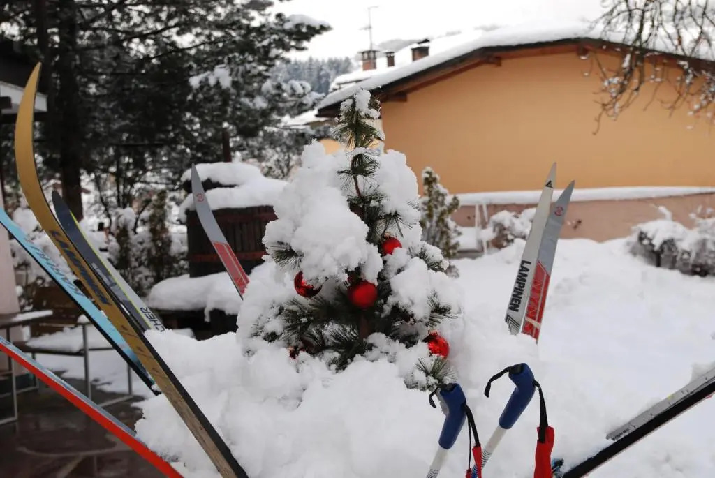 Hotel San Valier